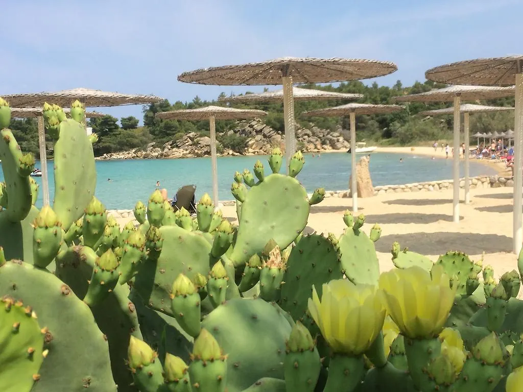 Villa Rena Vourvourou